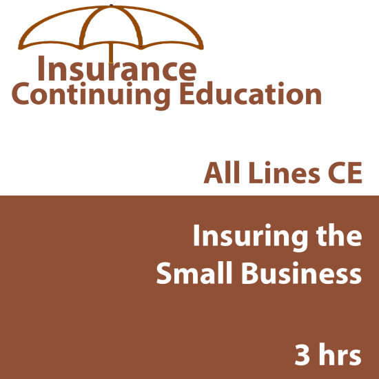 3 hr CE Insuring the Small Business